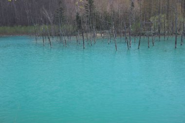  Biei, Japonya yaz aylarında alınan mavi su birikintisi