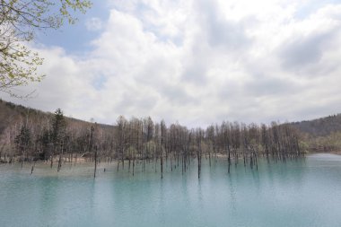 Biei, Shirogane'deki Mavi Gölet. Hokkaido alınan, 