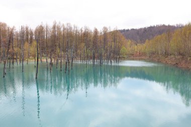 Biei, Shirogane'deki Mavi Gölet. Hokkaido alınan, 
