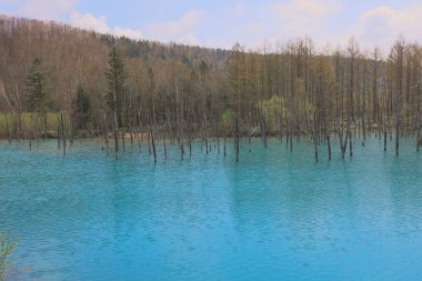 Yaz aylarında Biei alınan ational park