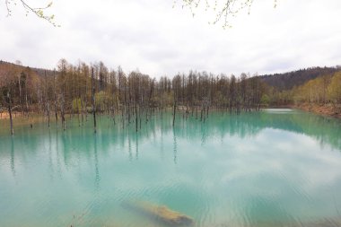 Biei, Shirogane'deki Mavi Gölet. Hokkaido alınan, 