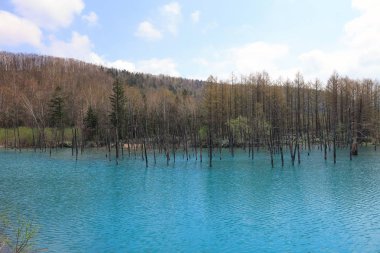 Yaz aylarında Biei alınan ational park