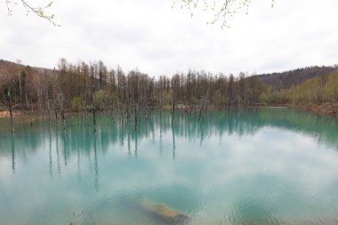 Biei, Shirogane'deki Mavi Gölet. Hokkaido alınan, 
