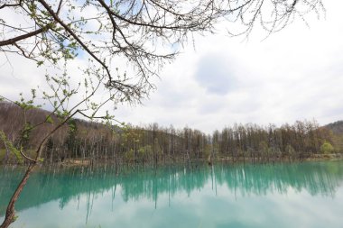  Milli Parkı yaz aylarında alınan mavi su birikintisi