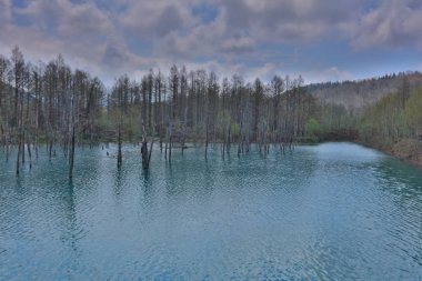 Yaz aylarında Biei alınan ational park