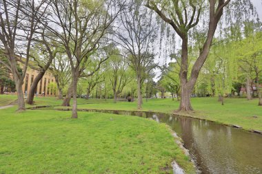  Hokkaido Üniversitesi Sapporo peyzaj 