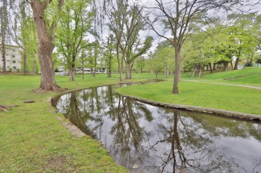  Hokkaido Üniversitesi Sapporo peyzaj 