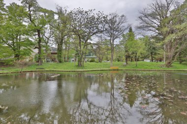  Hokkaido Üniversitesi Sapporo peyzaj 