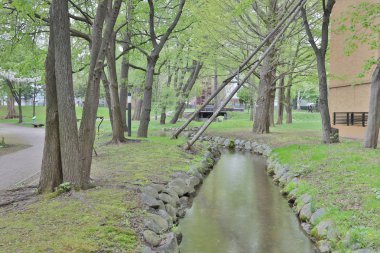  Hokkaido Üniversitesi Sapporo peyzaj 
