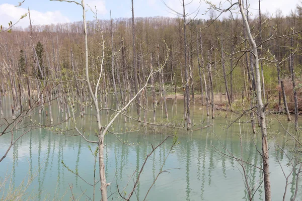 Niebieski staw Aoiike w Biei, Hokkaido — Zdjęcie stockowe