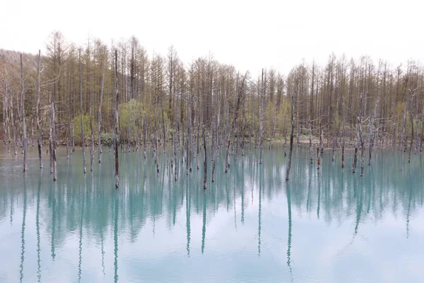 Niebieski staw o w Hokkaido, Japonia — Zdjęcie stockowe