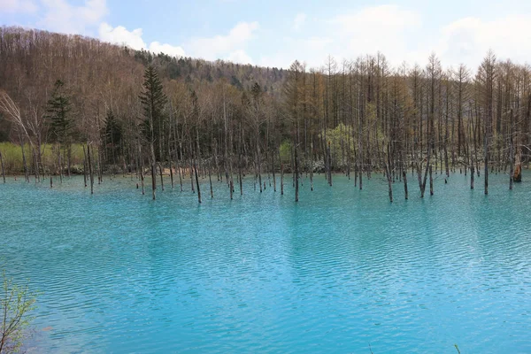  Biei, Japonya yaz aylarında alınan mavi su birikintisi