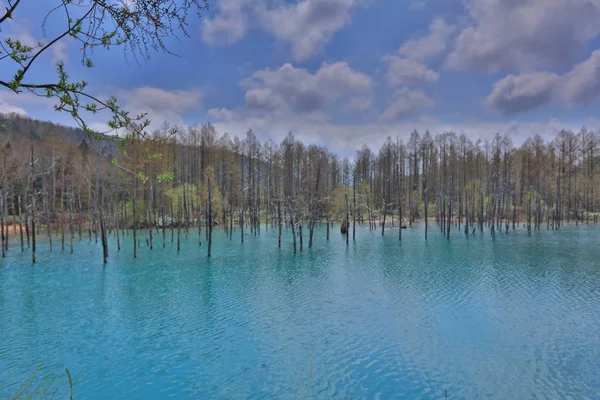 Mavi su birikintisi Aoiike Biei, Hokkaido, Japonya