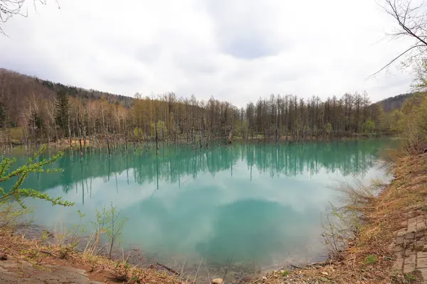 Hokkaido, Japonya, mavi su birikintisi