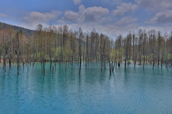  Mavi su birikintisi Aoiike Biei, Hokkaido, Japonya