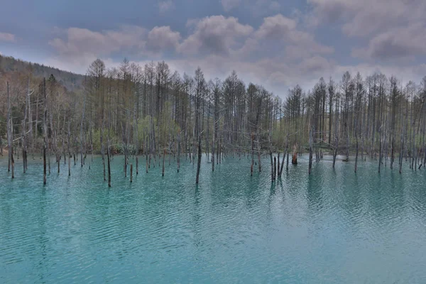  Biei, Japonya yaz aylarında alınan mavi su birikintisi