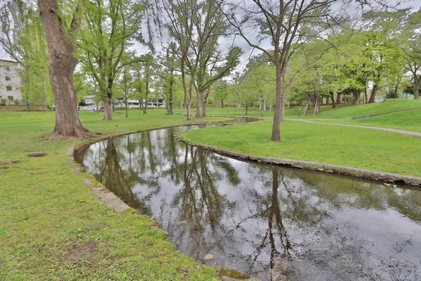  Hokkaido Üniversitesi Sapporo peyzaj 