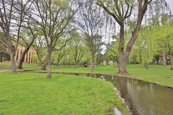  Hokkaido Üniversitesi Sapporo peyzaj 