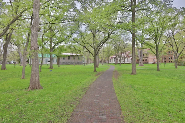 Landskap av Hokkaido University Sapporo — Stockfoto