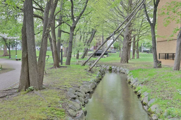  Hokkaido Üniversitesi Sapporo peyzaj 