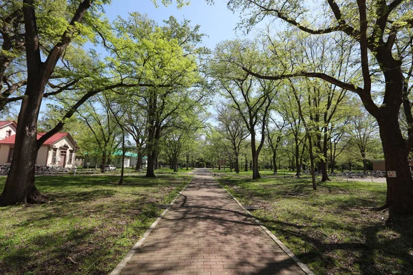 landsvape Japonya Hokkaido Üniversitesi