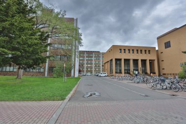  Hokkaido Üniversitesi Sapporo peyzaj 