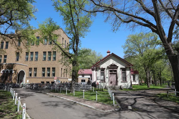 Landsvape aan de Universiteit Hokkaido in Japan — Stockfoto