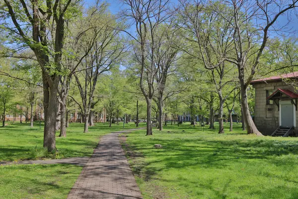 Landsvape en la universidad de Hokkaido en Japón — Foto de Stock