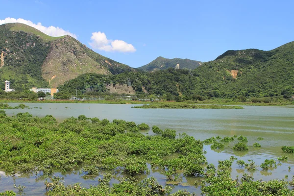 타이 O 어촌 마에서 습지 — 스톡 사진