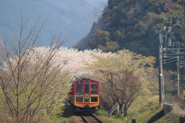 Kameoka Torokko istasyonu Kyoto, eski tren. 