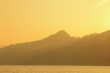 Önemsiz yuva, Tseung Kwan O yuva