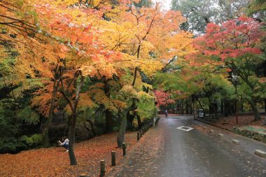 geçit Kasuga Taisha: Nara, Japan 