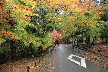 geçit Kasuga Taisha: Nara, Japan 