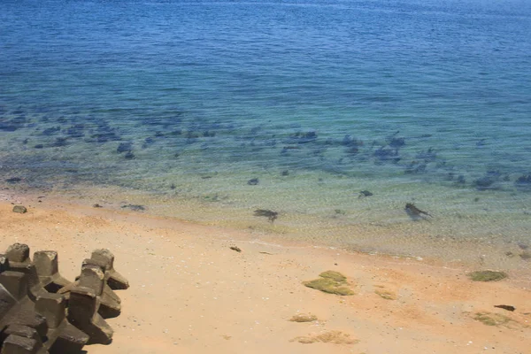 Hiroşima 2016 sahilde