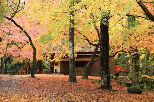 nara çay evi tarafında geçit