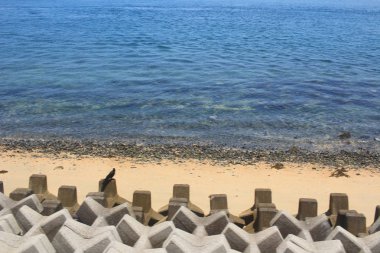 Hiroşima 2016 sahilde