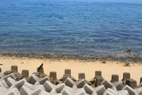 Hiroşima 2016 sahilde