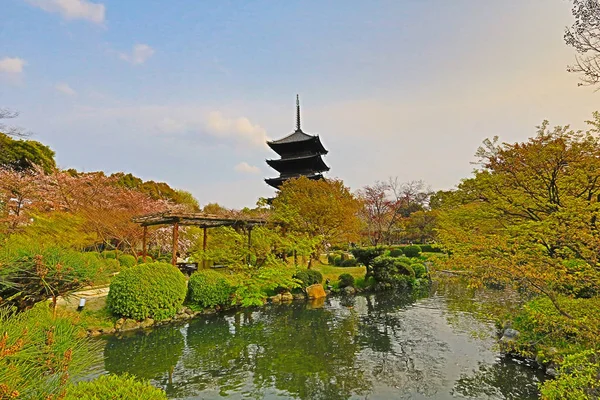 在春天，京都，日本河津寺 — 图库照片