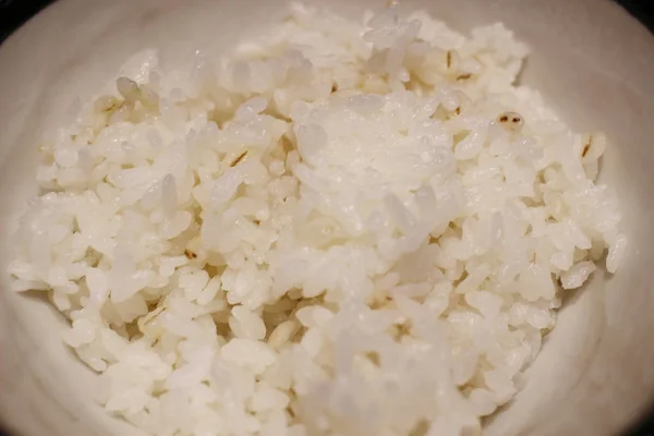 Чаша с вареным белым рисом Жасмин — стоковое фото