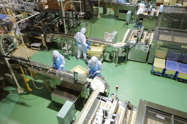 Japonya, Çikolata Fabrikası'nda üretim hattı