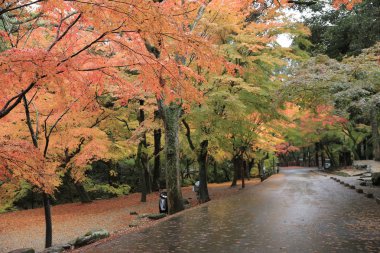 geçit Kasuga Taisha: Nara, Japan 