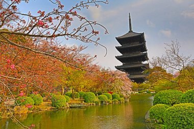 Bahar, kyoto, Japonya gün zamanında Toji Tapınağı alev aldı.