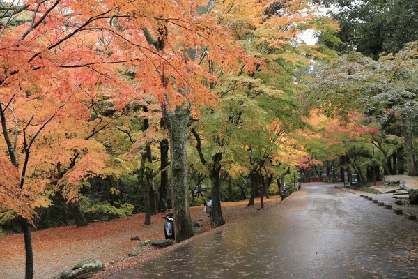 Chodnik do Kasuga Taisha w Nara, Japonia — Zdjęcie stockowe