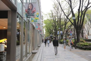 2016, sokakta Omotesando