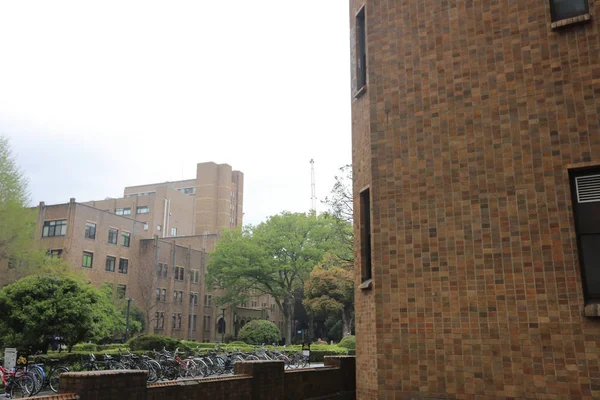 Tokyo Üniversitesi — Stok fotoğraf