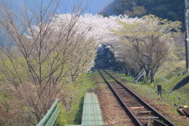 Kameoka Torokko istasyonu Kyoto, eski tren. 