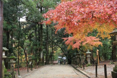 geçit Kasuga Taisha: Nara, Japan 