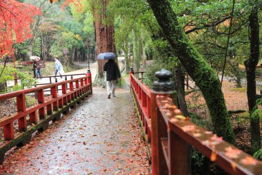 geçit Kasuga Taisha: Nara, Japan 