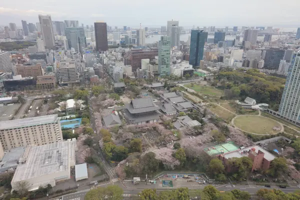 Вид Токио на башню Токио — стоковое фото