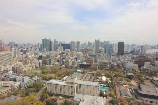 The view of Tokyo city from the Tokyo Tower — Stock Photo, Image
